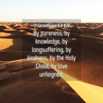 Picture 04 - 2 Corinthians 6:6 KJV - By pureness, by knowledge, by longsuffering, by - Bible Verse Picture