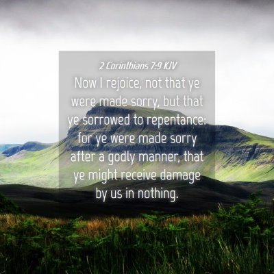 Picture 04 - 2 Corinthians 7:9 KJV - Now I rejoice, not that ye were made sorry, but - Bible Verse Picture