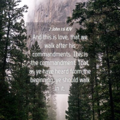 Picture 04 - 2 John 1:6 KJV - And this is love, that we walk after his - Bible Verse Picture