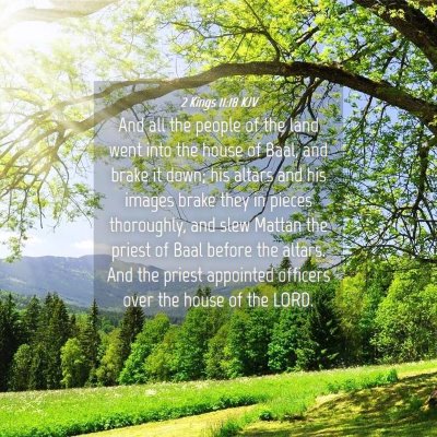 Picture 04 - 2 Kings 11:18 KJV - And all the people of the land went into the - Bible Verse Picture