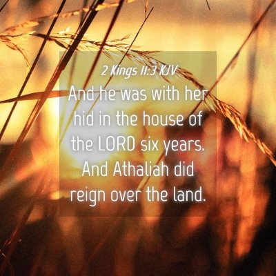 Picture 04 - 2 Kings 11:3 KJV - And he was with her hid in the house of the LORD - Bible Verse Picture
