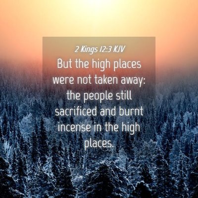 Picture 04 - 2 Kings 12:3 KJV - But the high places were not taken away: the - Bible Verse Picture