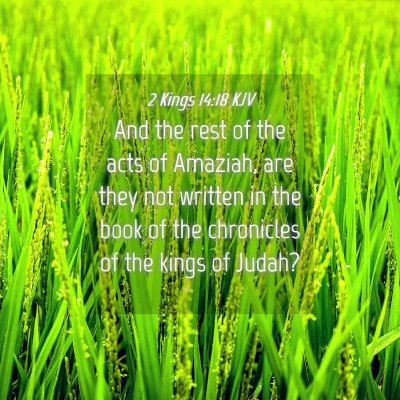 Picture 04 - 2 Kings 14:18 KJV - And the rest of the acts of Amaziah, are they not - Bible Verse Picture