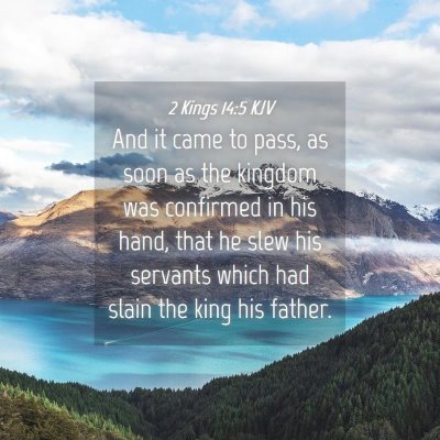 Picture 04 - 2 Kings 14:5 KJV - And it came to pass, as soon as the kingdom was - Bible Verse Picture