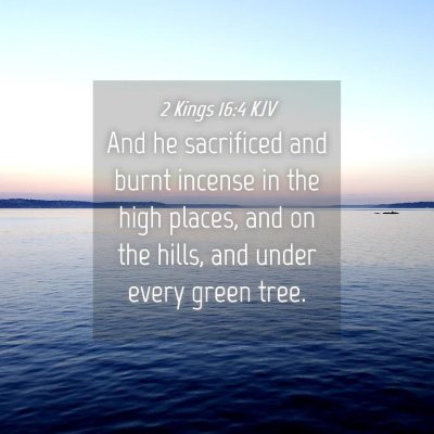 Picture 04 - 2 Kings 16:4 KJV - And he sacrificed and burnt incense in the high - Bible Verse Picture