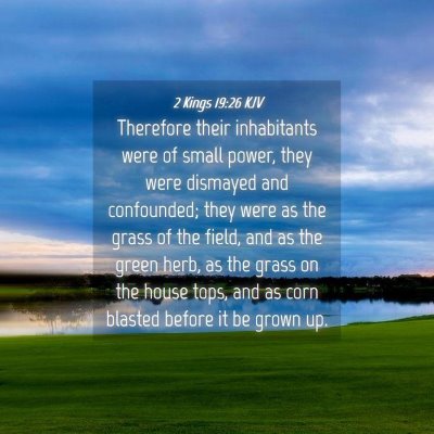 Picture 04 - 2 Kings 19:26 KJV - Therefore their inhabitants were of small power, - Bible Verse Picture
