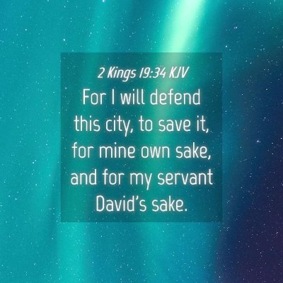 Picture 04 - 2 Kings 19:34 KJV - For I will defend this city, to save it, for mine - Bible Verse Picture