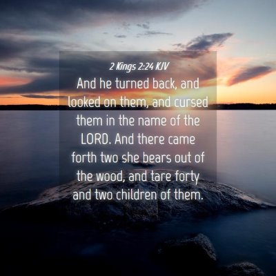 Picture 04 - 2 Kings 2:24 KJV - And he turned back, and looked on them, and - Bible Verse Picture