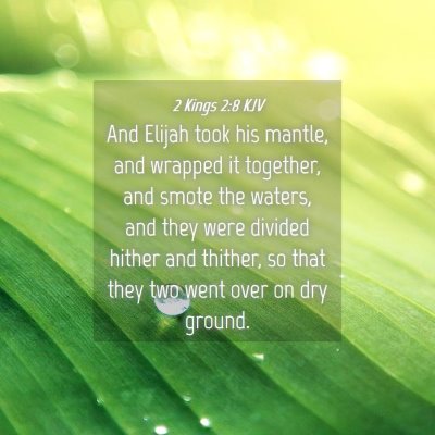 Picture 04 - 2 Kings 2:8 KJV - And Elijah took his mantle, and wrapped it - Bible Verse Picture