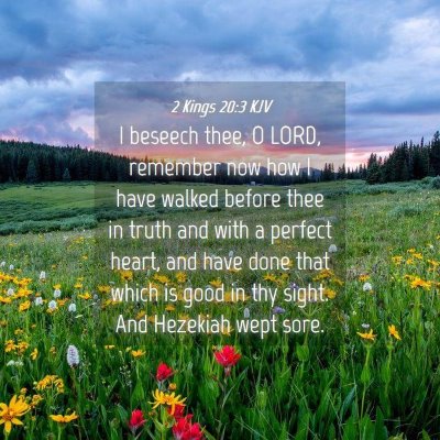 Picture 04 - 2 Kings 20:3 KJV - I beseech thee, O LORD, remember now how I have - Bible Verse Picture