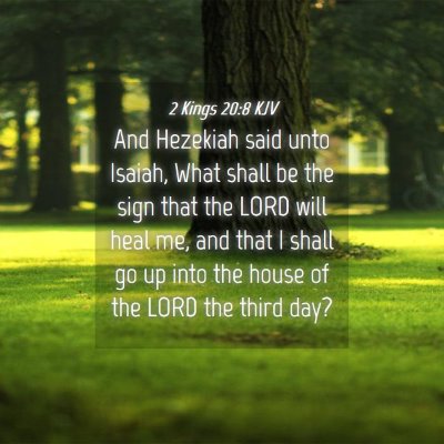 Picture 04 - 2 Kings 20:8 KJV - And Hezekiah said unto Isaiah, What shall be the - Bible Verse Picture