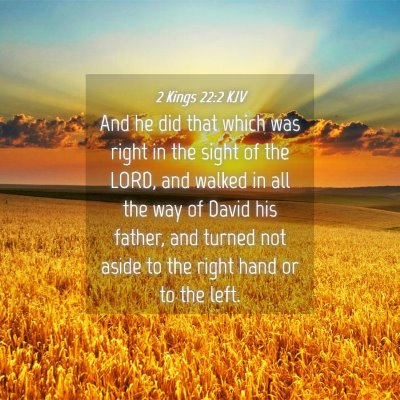 Picture 04 - 2 Kings 22:2 KJV - And he did that which was right in the sight of - Bible Verse Picture