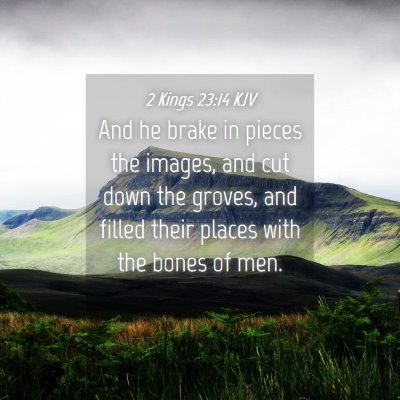 Picture 04 - 2 Kings 23:14 KJV - And he brake in pieces the images, and cut down - Bible Verse Picture