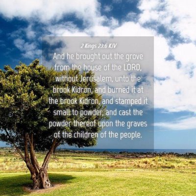 Picture 04 - 2 Kings 23:6 KJV - And he brought out the grove from the house of - Bible Verse Picture