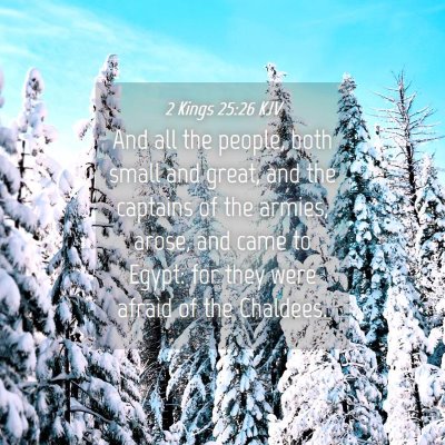 Picture 04 - 2 Kings 25:26 KJV - And all the people, both small and great, and the - Bible Verse Picture
