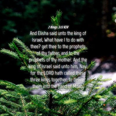 Picture 04 - 2 Kings 3:13 KJV - And Elisha said unto the king of Israel, What - Bible Verse Picture