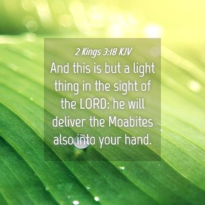 Picture 04 - 2 Kings 3:18 KJV - And this is but a light thing in the sight of the - Bible Verse Picture