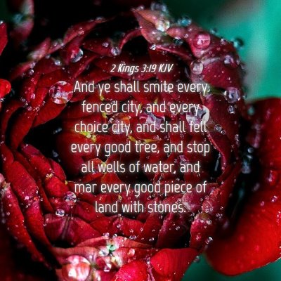 Picture 04 - 2 Kings 3:19 KJV - And ye shall smite every fenced city, and every - Bible Verse Picture