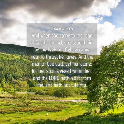 Picture 04 - 2 Kings 4:27 KJV - And when she came to the man of God to the hill, - Bible Verse Picture