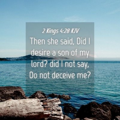 Picture 04 - 2 Kings 4:28 KJV - Then she said, Did I desire a son of my lord? did - Bible Verse Picture