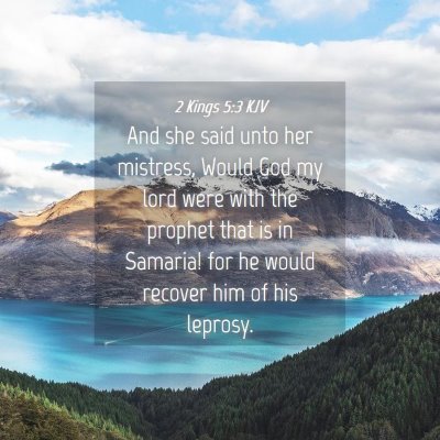 Picture 04 - 2 Kings 5:3 KJV - And she said unto her mistress, Would God my lord - Bible Verse Picture