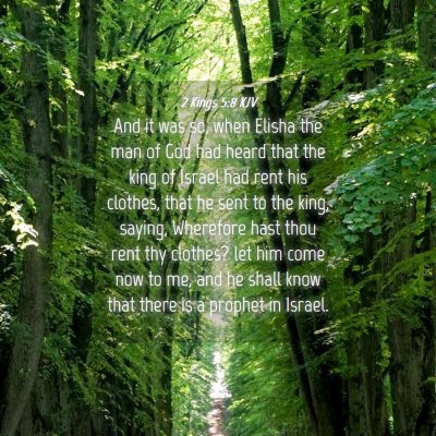 Picture 04 - 2 Kings 5:8 KJV - And it was so, when Elisha the man of God had - Bible Verse Picture