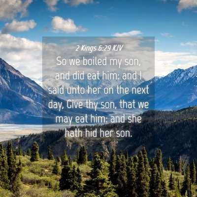 Picture 04 - 2 Kings 6:29 KJV - So we boiled my son, and did eat him: and I said - Bible Verse Picture