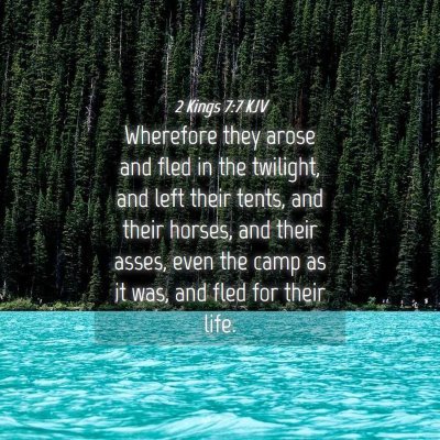 Picture 04 - 2 Kings 7:7 KJV - Wherefore they arose and fled in the twilight, - Bible Verse Picture