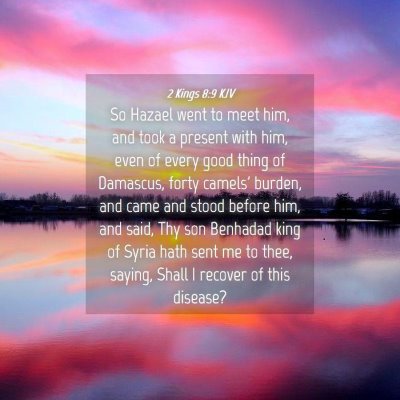 Picture 04 - 2 Kings 8:9 KJV - So Hazael went to meet him, and took a present - Bible Verse Picture