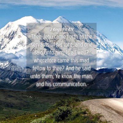 Picture 04 - 2 Kings 9:11 KJV - Then Jehu came forth to the servants of his lord: - Bible Verse Picture