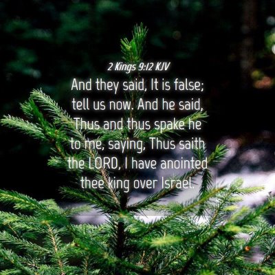 Picture 04 - 2 Kings 9:12 KJV - And they said, It is false; tell us now. And he - Bible Verse Picture
