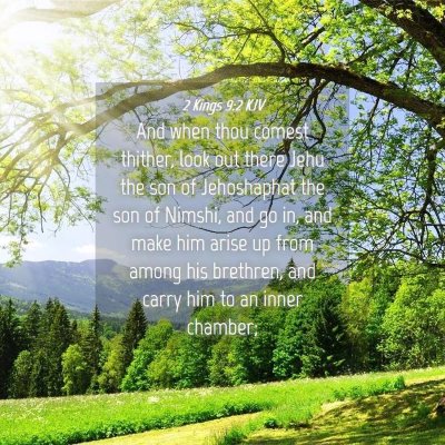 Picture 04 - 2 Kings 9:2 KJV - And when thou comest thither, look out there Jehu - Bible Verse Picture