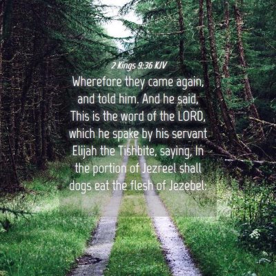 Picture 04 - 2 Kings 9:36 KJV - Wherefore they came again, and told him. And he - Bible Verse Picture