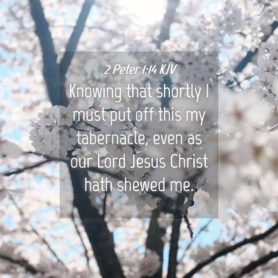 Picture 04 - 2 Peter 1:14 KJV - Knowing that shortly I must put off this my - Bible Verse Picture
