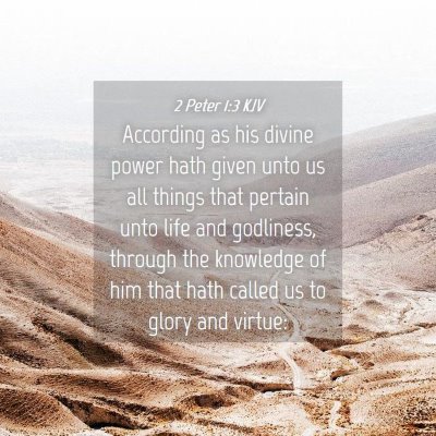 Picture 04 - 2 Peter 1:3 KJV - According as his divine power hath given unto us - Bible Verse Picture