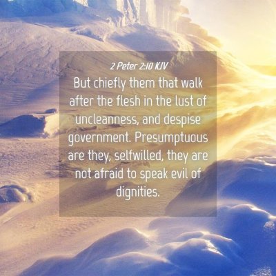Picture 04 - 2 Peter 2:10 KJV - But chiefly them that walk after the flesh in the - Bible Verse Picture