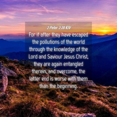 Picture 04 - 2 Peter 2:20 KJV - For if after they have escaped the pollutions of - Bible Verse Picture