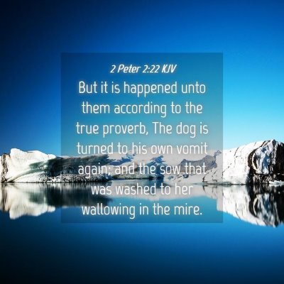 Picture 04 - 2 Peter 2:22 KJV - But it is happened unto them according to the - Bible Verse Picture