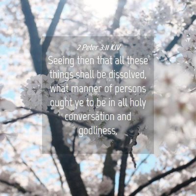 Picture 04 - 2 Peter 3:11 KJV - Seeing then that all these things shall be - Bible Verse Picture