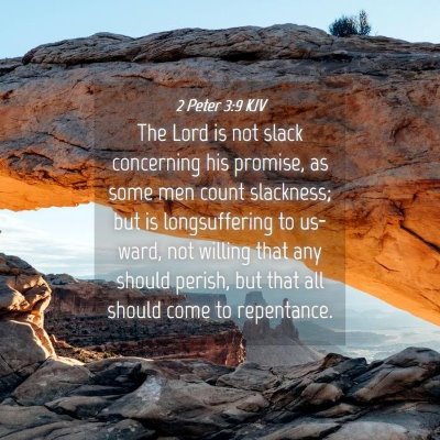 Picture 04 - 2 Peter 3:9 KJV - The Lord is not slack concerning his promise, as - Bible Verse Picture