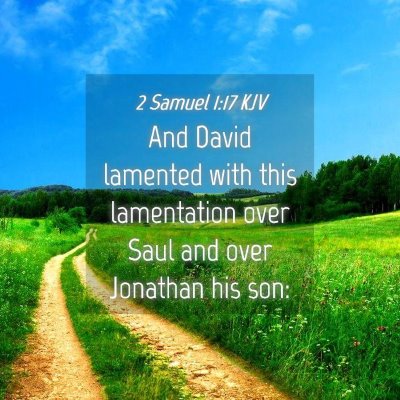 Picture 04 - 2 Samuel 1:17 KJV - And David lamented with this lamentation over - Bible Verse Picture