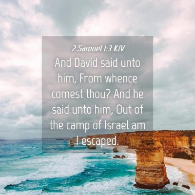 Picture 04 - 2 Samuel 1:3 KJV - And David said unto him, From whence comest thou? - Bible Verse Picture