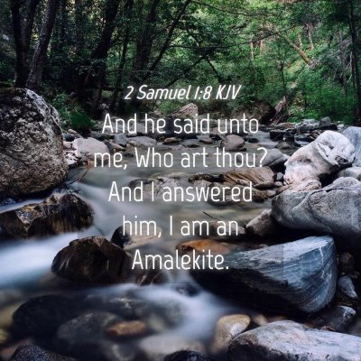Picture 04 - 2 Samuel 1:8 KJV - And he said unto me, Who art thou? And I answered - Bible Verse Picture