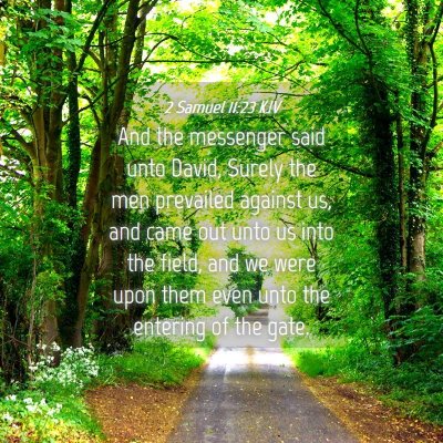 Picture 04 - 2 Samuel 11:23 KJV - And the messenger said unto David, Surely the men - Bible Verse Picture