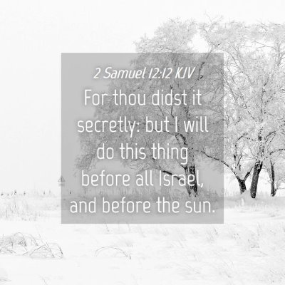 Picture 04 - 2 Samuel 12:12 KJV - For thou didst it secretly: but I will do this - Bible Verse Picture