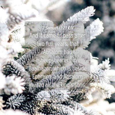 Picture 04 - 2 Samuel 13:23 KJV - And it came to pass after two full years, that - Bible Verse Picture