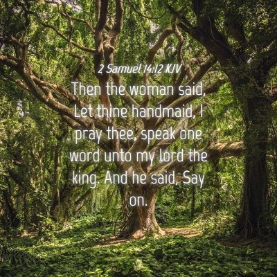 Picture 04 - 2 Samuel 14:12 KJV - Then the woman said, Let thine handmaid, I pray - Bible Verse Picture