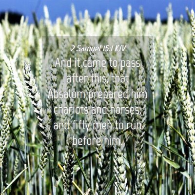 Picture 04 - 2 Samuel 15:1 KJV - And it came to pass after this, that Absalom - Bible Verse Picture