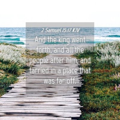 Picture 04 - 2 Samuel 15:17 KJV - And the king went forth, and all the people after - Bible Verse Picture