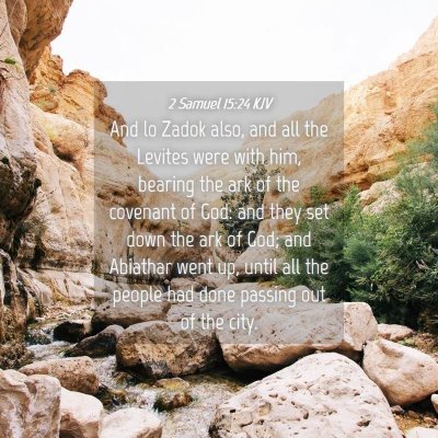 Picture 04 - 2 Samuel 15:24 KJV - And lo Zadok also, and all the Levites were with - Bible Verse Picture